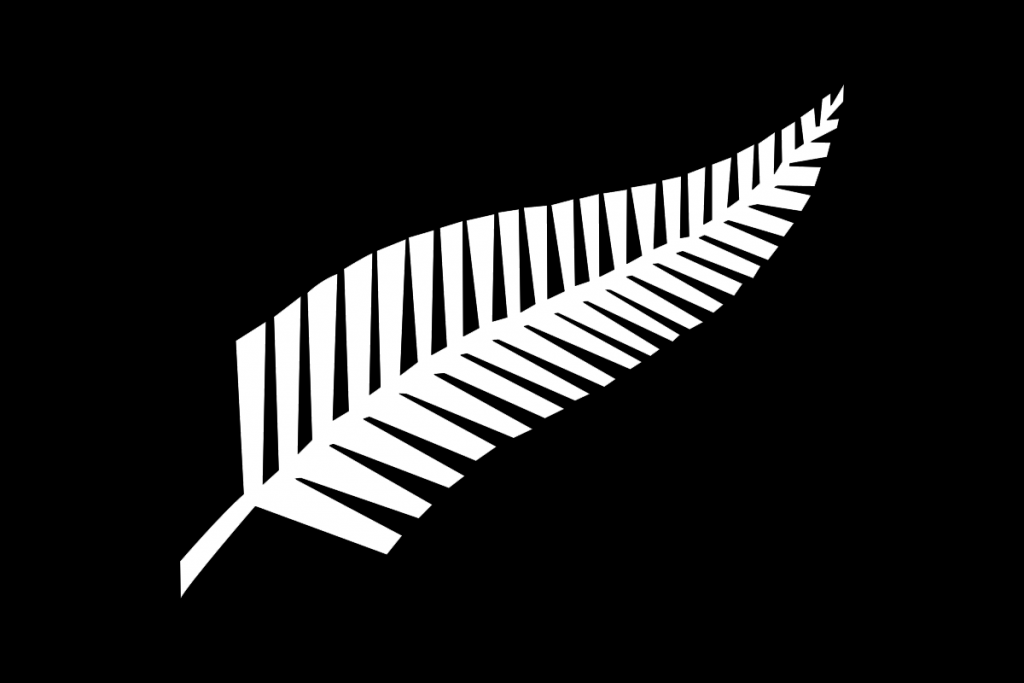 Silver Fern Courtesy Flag
